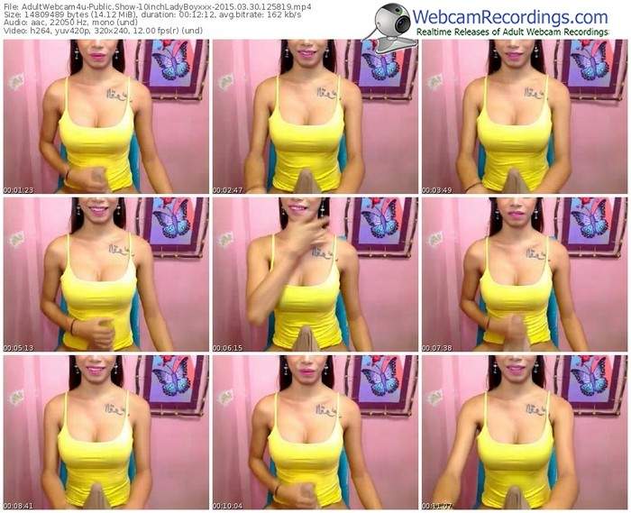 adultwebcam4u-10inchladyboyxxx-public-show-03_30_2015-12_58_19