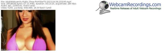adultwebcam4u-pornstarts-public-show-04_08_2015-23_32_45