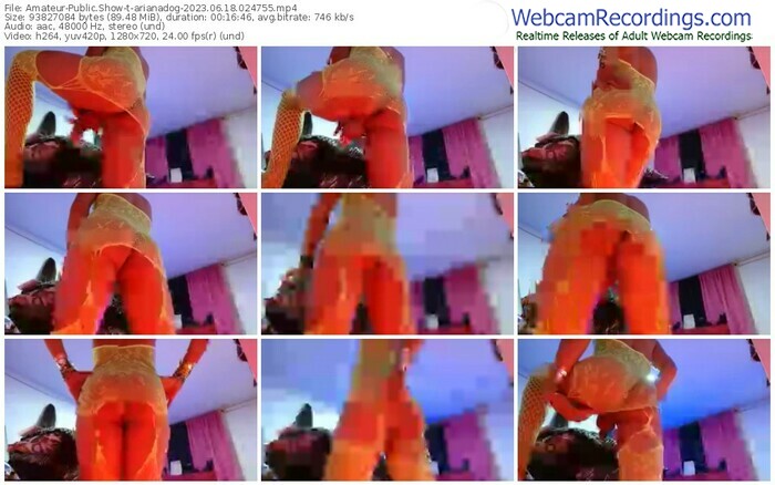 amateur-arianadog-06-18-2023-02-47-55