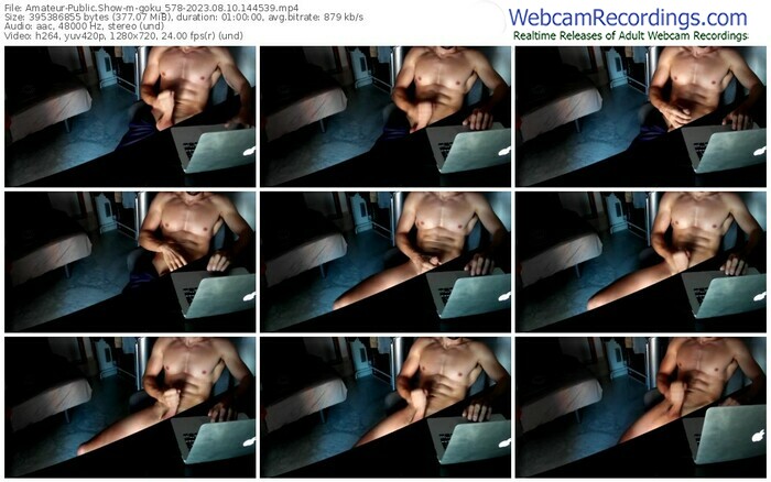 amateur-goku_578-08-10-2023-14-45-39