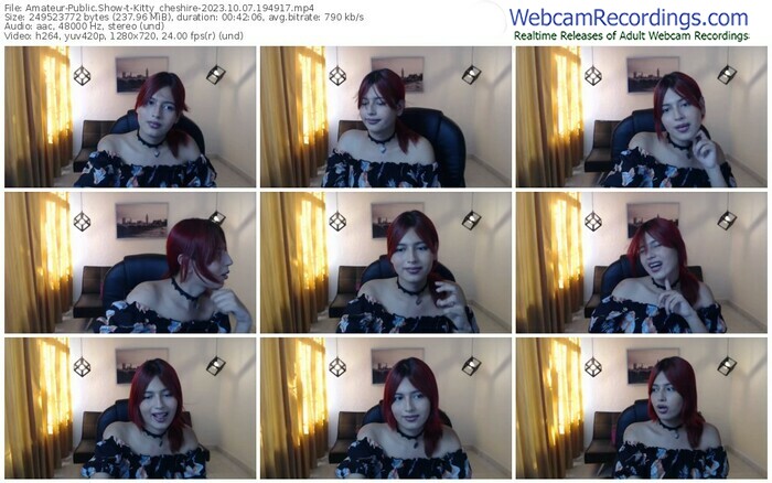 amateur-kitty_cheshire-10-07-2023-19-49-17