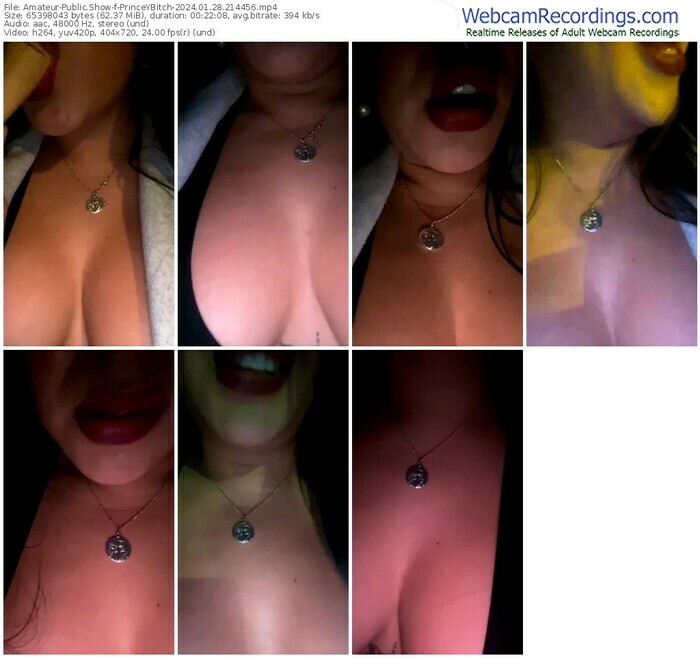 amateur-princeybitch-01-28-2024-21-44-56