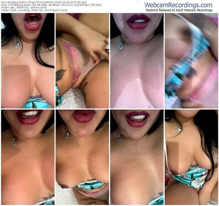 amateur-princeybitch-03-04-2024-22-37-26