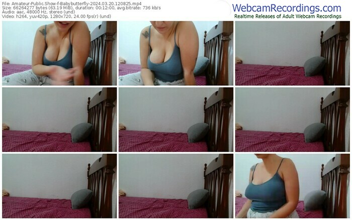 amateur-babybutterfly-03-20-2024-12-08-25