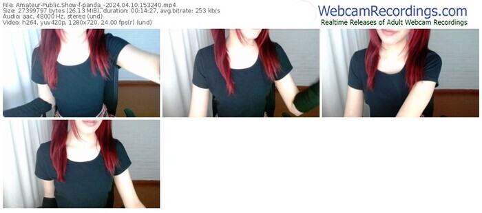 amateur-panda_-04-10-2024-15-32-40