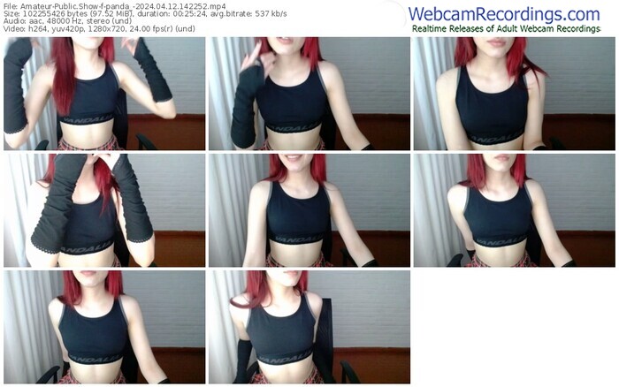 amateur-panda_-04-12-2024-14-22-52