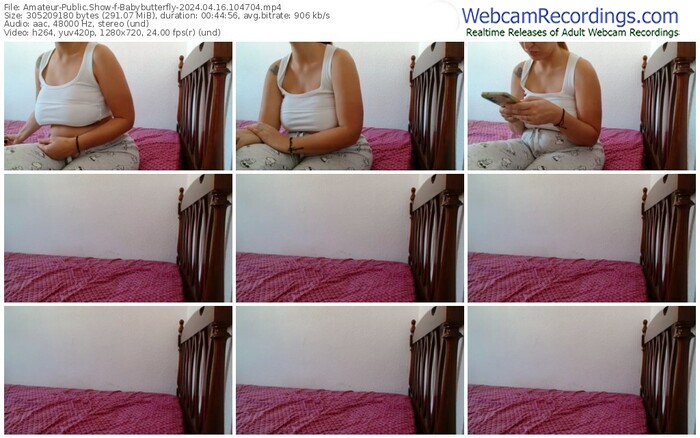 amateur-babybutterfly-04-16-2024-10-47-04