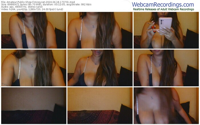 amateur-missycat-04-18-2024-17-37-01