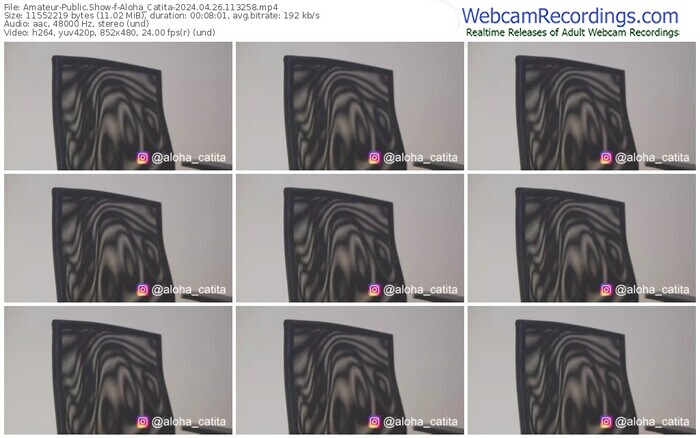 amateur-aloha_catita-04-26-2024-11-32-58