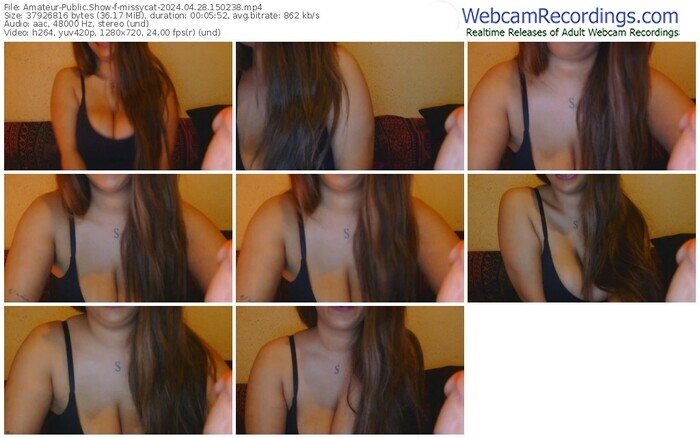 amateur-missycat-04-28-2024-15-02-38