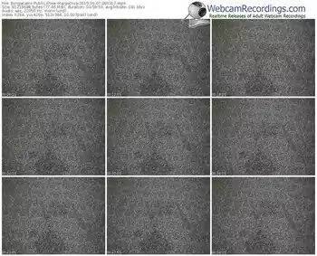 bongacams-margodiva-public-show-06_07_2015-08_03_17