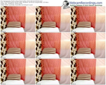 bongacams-aminasky-public-show-08_04_2015-04_20_26