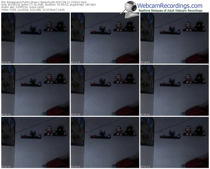 bongacams-nastyfuckk-public-show-08_11_2015-15_05_01