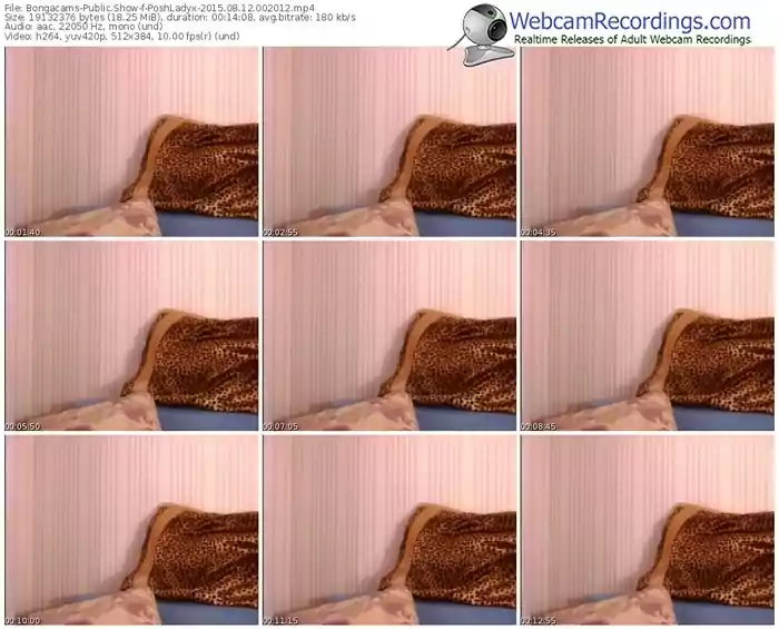 bongacams-poshladyx-public-show-08_12_2015-00_20_12