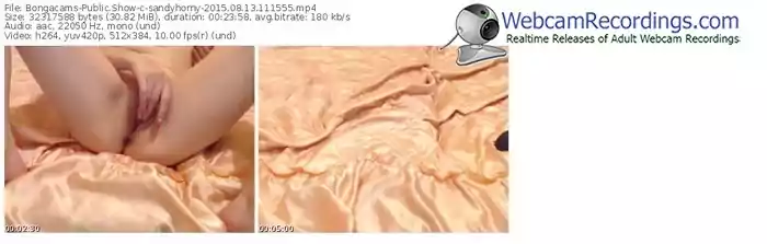 bongacams-sandyhorny-public-show-08_13_2015-11_15_55