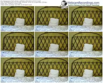 bongacams-ambdsm-public-show-08_14_2015-07_21_17