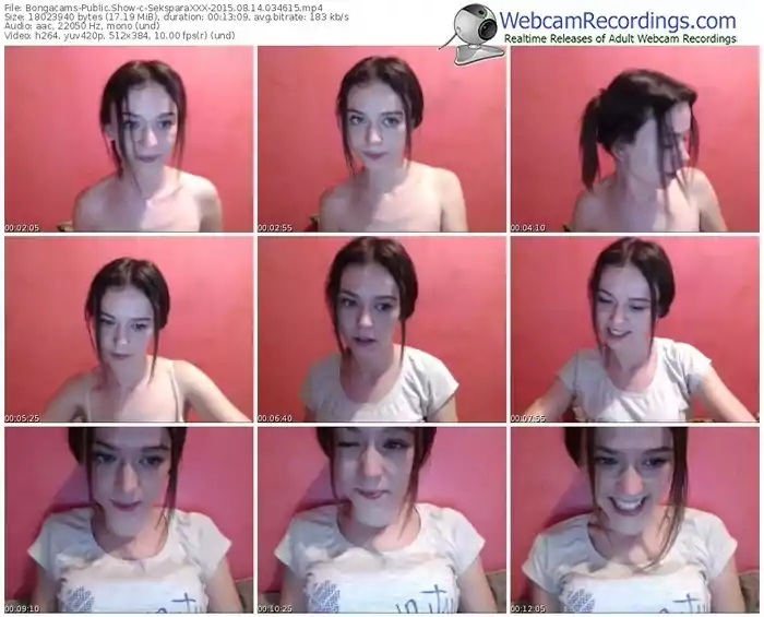 bongacams-seksparaxxx-public-show-08_14_2015-03_46_15