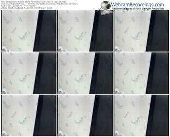 bongacams-assdolly-public-show-08_16_2015-11_11_55