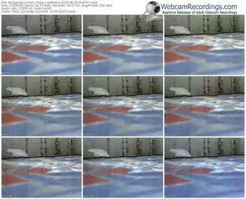 bongacams-ambdsm-public-show-08_29_2015-06_46_57