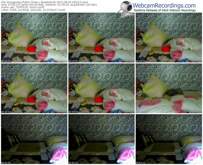 bongacams-tweetybirds-public-show-08_29_2015-18_52_13