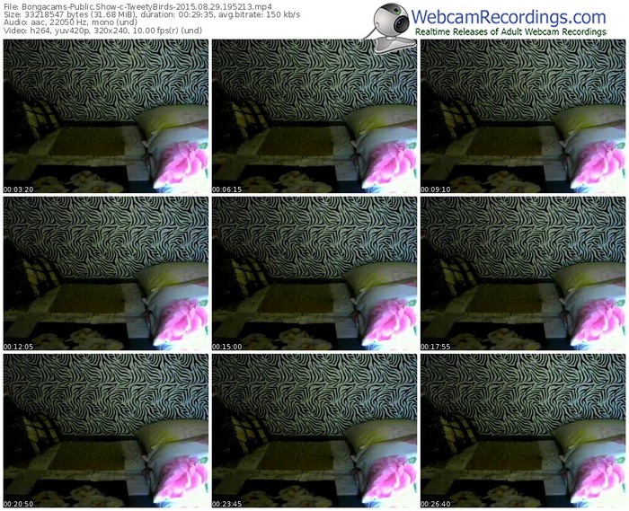 bongacams-tweetybirds-public-show-08_29_2015-19_52_13