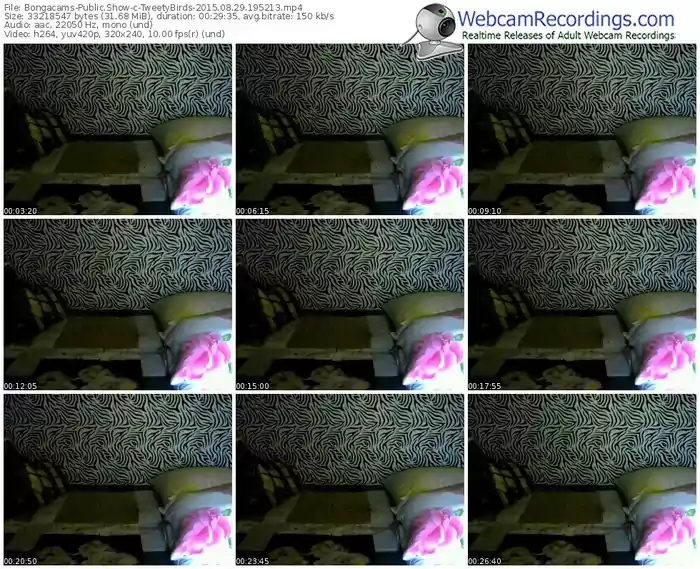 bongacams-tweetybirds-public-show-08_29_2015-19_52_13