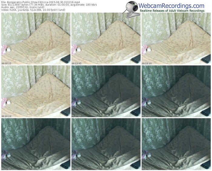 bongacams-ericca-public-show-08_30_2015-01_02_18