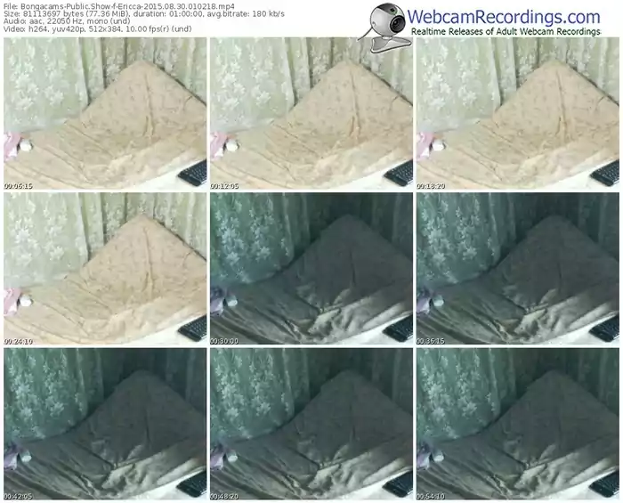 bongacams-ericca-public-show-08_30_2015-01_02_18