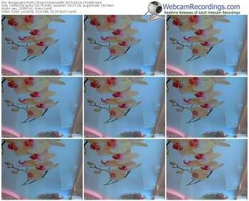 bongacams-rolanna389-public-show-09_14_2015-10_18_48