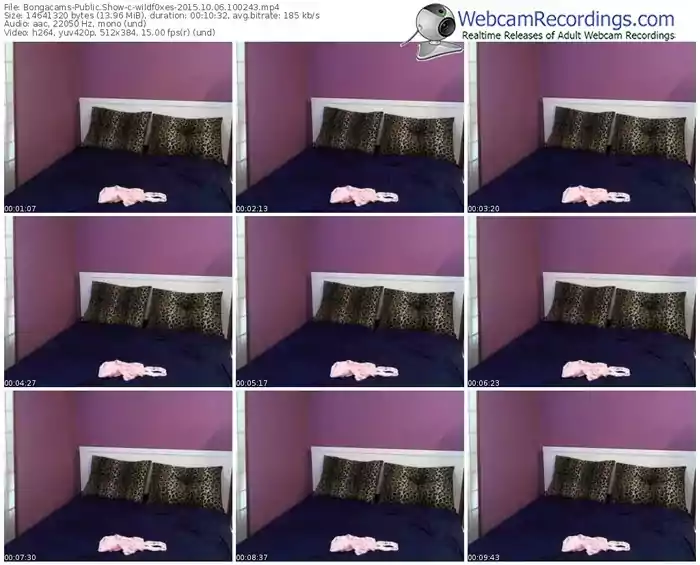 bongacams-wildf0xes-webcam-show-10_06_2015-10_02_43