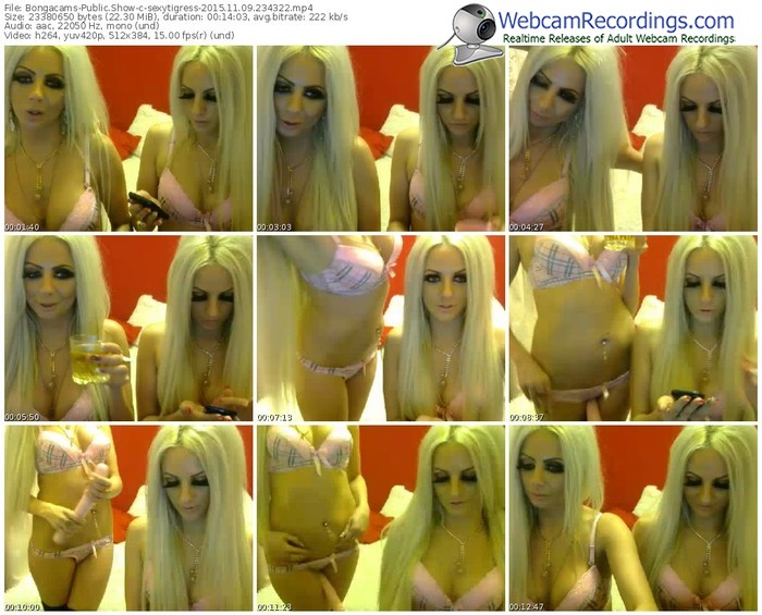 bongacams-sexytigress-webcam-show-11_09_2015-23_43_22