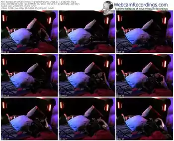 bongacams-greglockspuma-webcam-show-11_12_2015-08_24_07