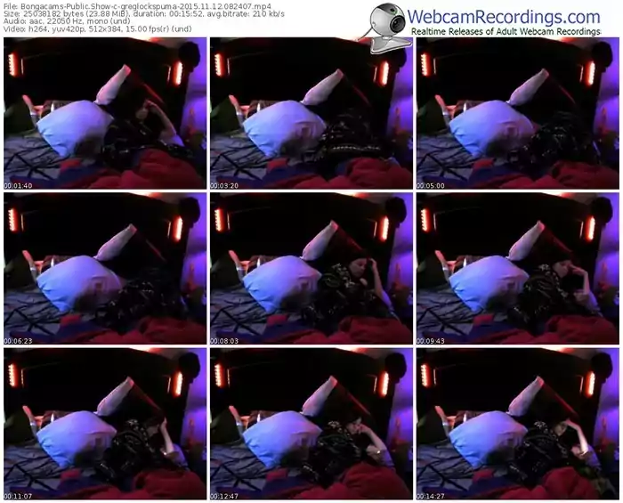 bongacams-greglockspuma-webcam-show-11_12_2015-08_24_07