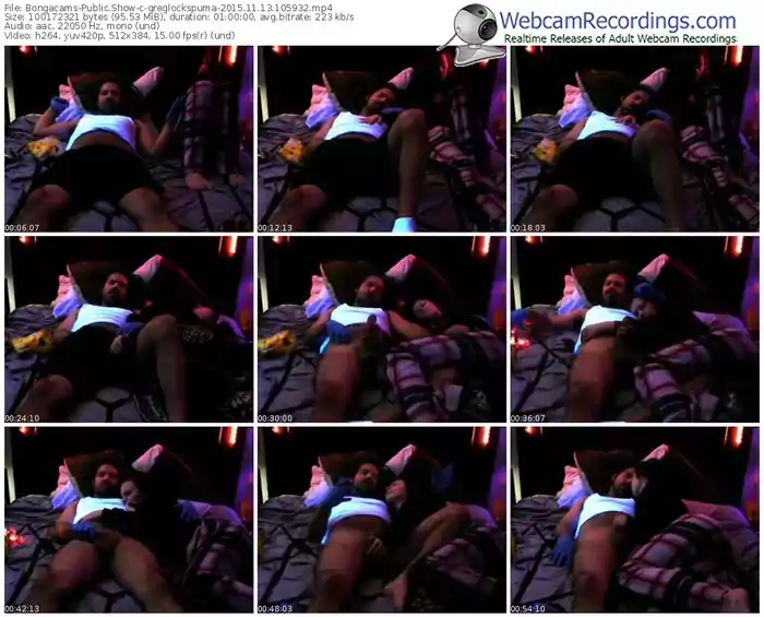 bongacams-greglockspuma-webcam-show-11_13_2015-10_59_32