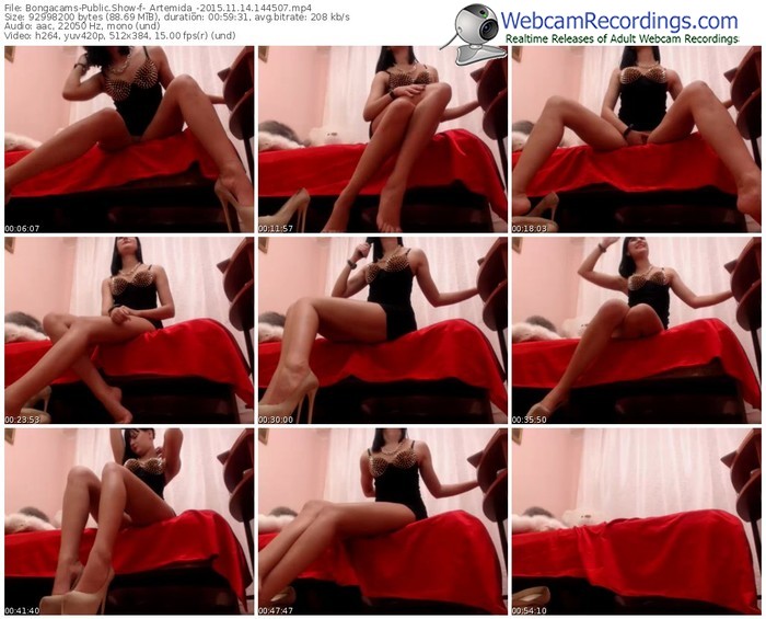 bongacams-_artemida_-webcam-show-11_14_2015-14_45_07