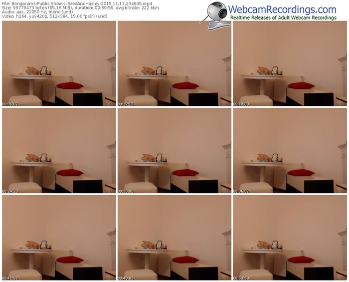 bongacams-eveaandhayley-webcam-show-11_17_2015-23_46_45