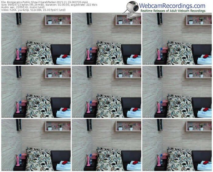 bongacams-sarahparker-webcam-show-11_19_2015-06_37_20