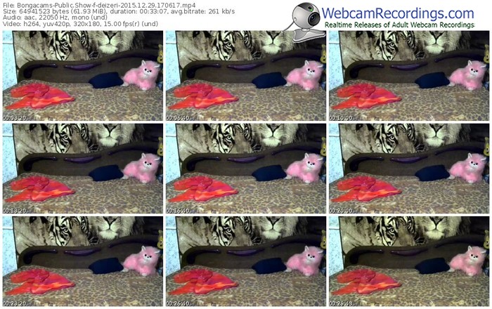 bongacams-deizeri-webcam-show-12_29_2015-17_06_17