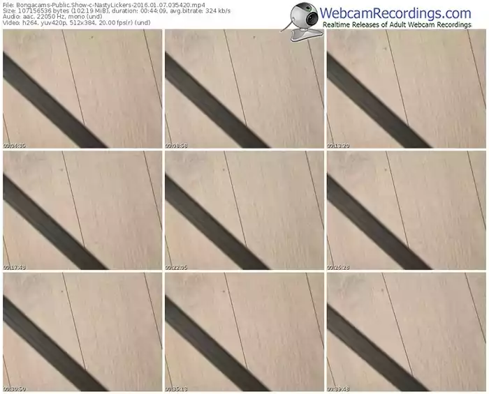 bongacams-nastylickers-webcam-show-01_07_2016-03_54_20