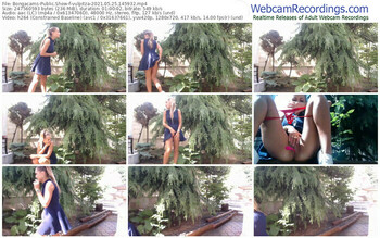 bongacams-vulpitza-05_25_2021-14_59_32