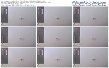 bongacams-toryxcristal-08-24-2022-17-21-29