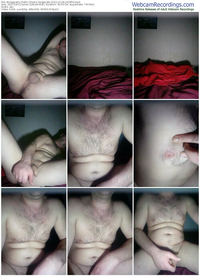 bongacams-sergeyabj-10-28-2022-16-28-50