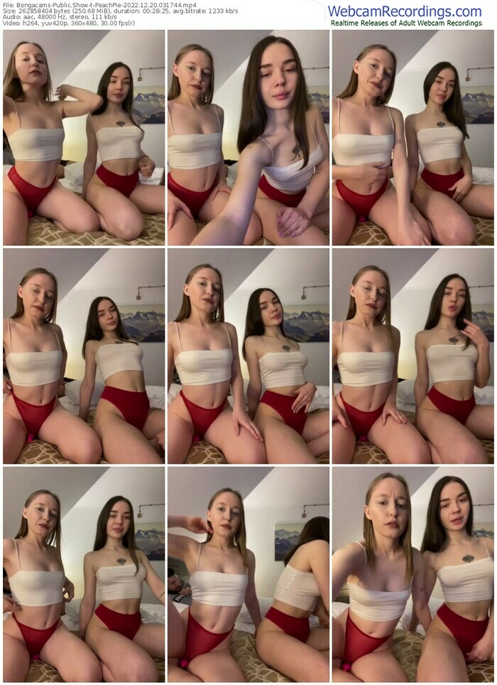 bongacams-peachpie-12-20-2022-03-17-44