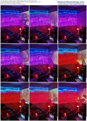 bongacams-gr8dick4sale-12-28-2022-02-24-43