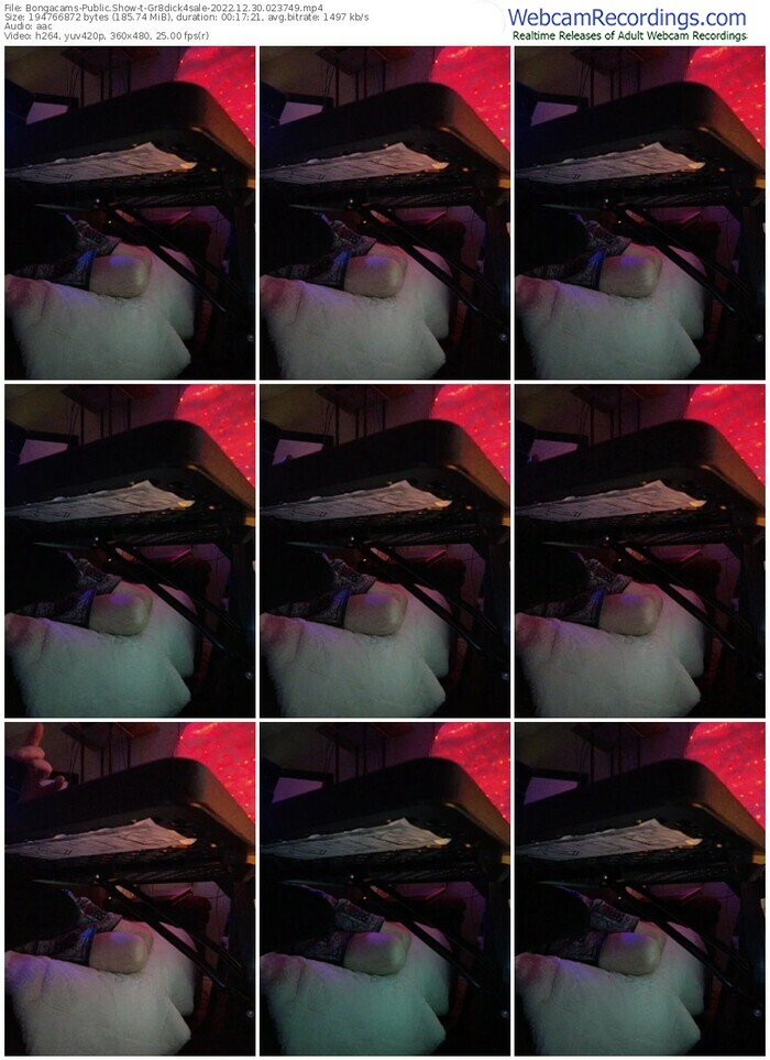 bongacams-gr8dick4sale-12-30-2022-02-37-49