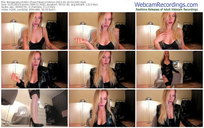 bongacams-basic1nstinct-03-20-2023-01-10-42
