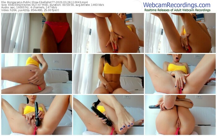 bongacams-bellahot77-03-28-2023-11-00-43
