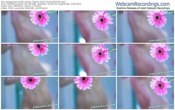 bongacams--taanni-04-09-2023-09-15-08