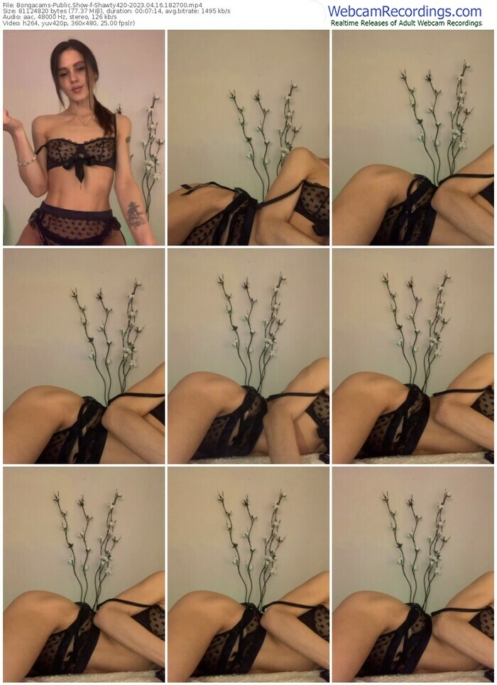 bongacams-shawty420-04-16-2023-18-27-00