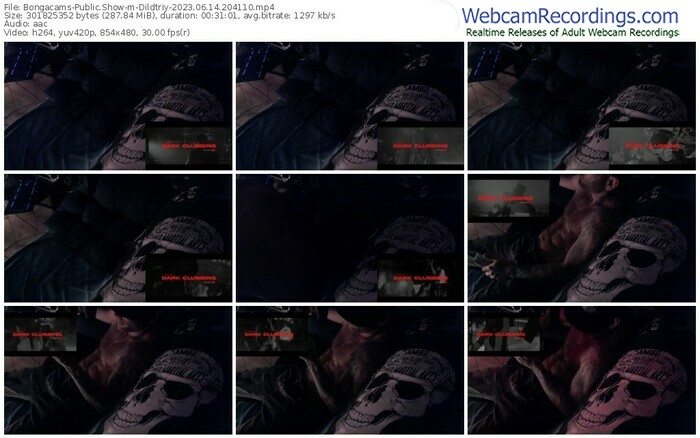 bongacams-dildtriy-06-14-2023-20-41-10